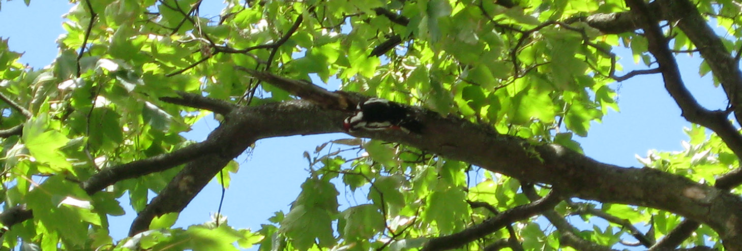 Eggenburg - Jugenderziehungsanstalt