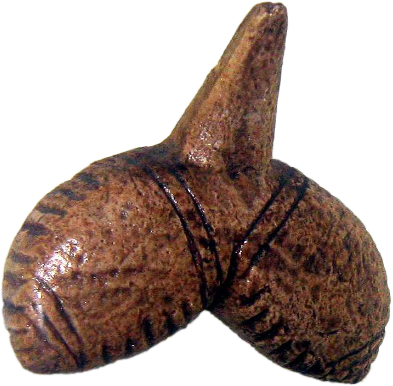 Dolní Vêstonice - Venus